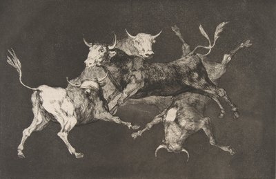 Plåt D från Disparates: Fools-or Little Bulls - fo..., ca. 1816-23 utgiven före 1877. av Francisco de Goya