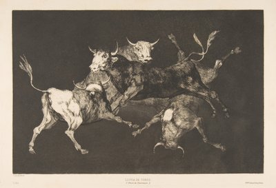 Plåt D från Disparates: Fools-or Little Bulls - dårskap, ca. 1816-23 utgiven 1877. av Francisco de Goya