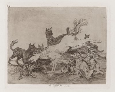 Han försvarar sig väl, tavla 78 från The Disasters of War av Francisco de Goya