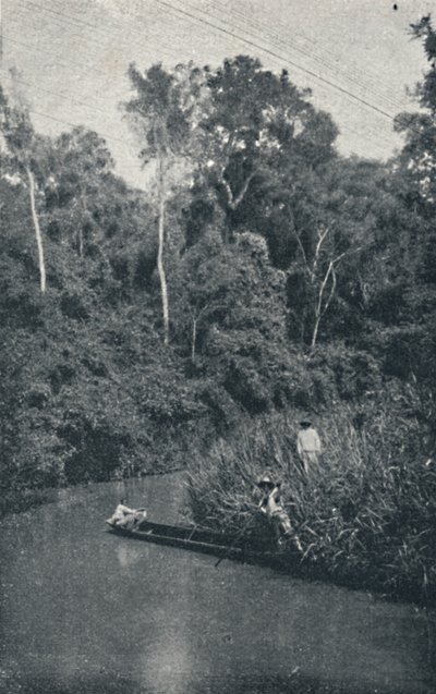 S. Anastacio River, 1895 av Francisco Henszler