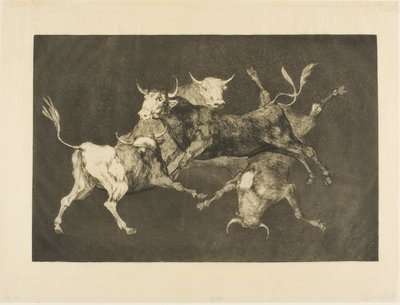 Fool’s Folly, från Disparates av Francisco Jose de Goya y Lucientes
