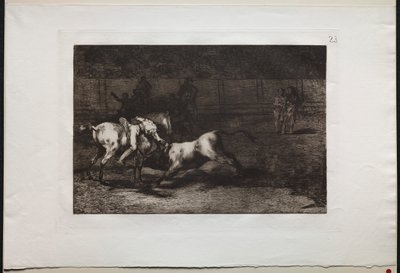 Tjurfäktningar: Mariano Ceballos, Alias the Indian, Kills the Bull From his Horse, 1876. av Francisco de Goya