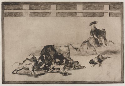 Tjurfäktningar: They Loose Dogs on the Bull, 1876. av Francisco de Goya