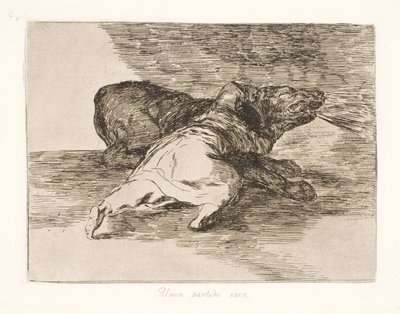 Det får ut något av det! (40) av Francisco de Goya