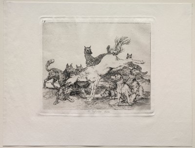 Krigets fasor: Han försvarar sig väl av Francisco de Goya