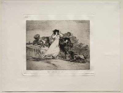 The Horrors of War: Vad är det här ståhej. av Francisco de Goya