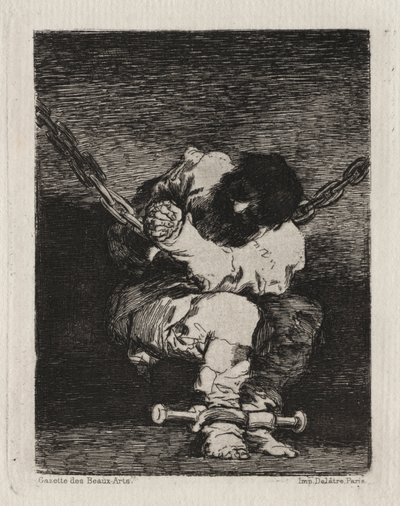 Den lilla fången av Francisco de Goya