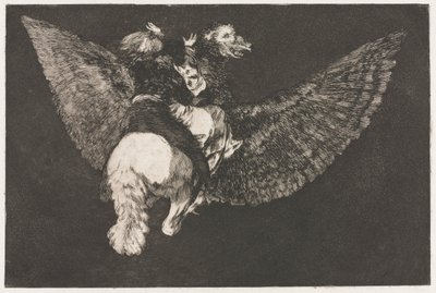 Ordspråken: Flygande dårskap av Francisco de Goya