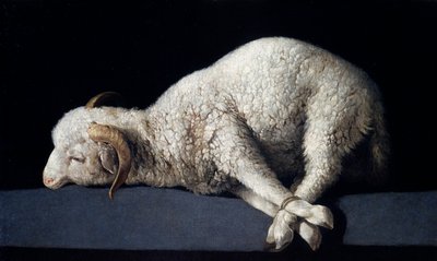 Agnus Dei av Francisco de Zurbaran
