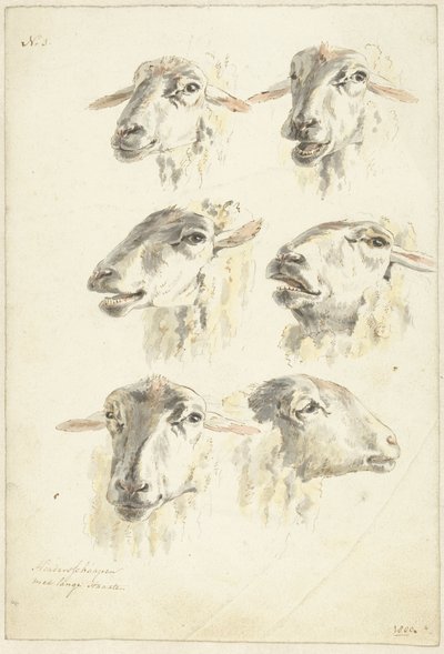 Studieblad med sex fårhuvuden av Franciscus Andreas Milatz (attributed to)