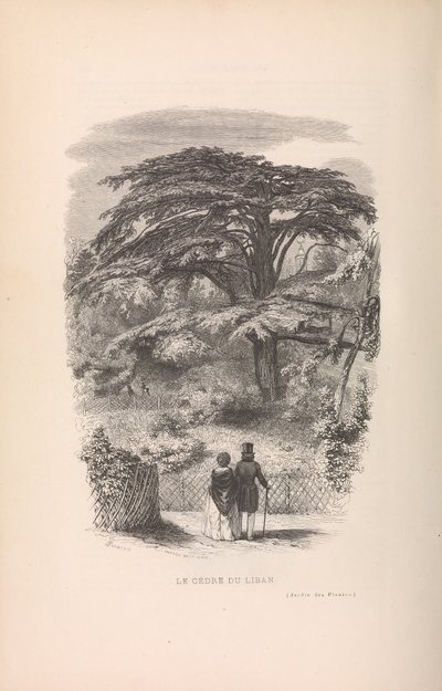 Botaniska trädgården, beskrivningar och seder av däggdjur, 1842. av Francois Boitard