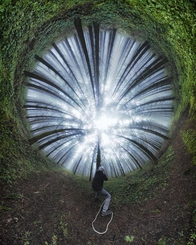 Spiralformad skogsstig av Francois Casanova