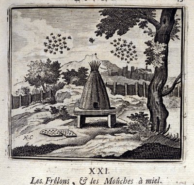 Bålgetingar och honungsflugor. Fabler av Jean de La Fontaine (1621-95). Illustration av Francois Chauveau (1613-1676). Upplaga av 1728. av Francois Chauveau