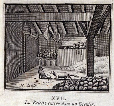 La Weasette gick in i en Grenier. Fabler av Jean de La Fontaine (1621-95). Illustration av François Chauveau (1613-1676). Upplaga av 1728. av Francois Chauveau