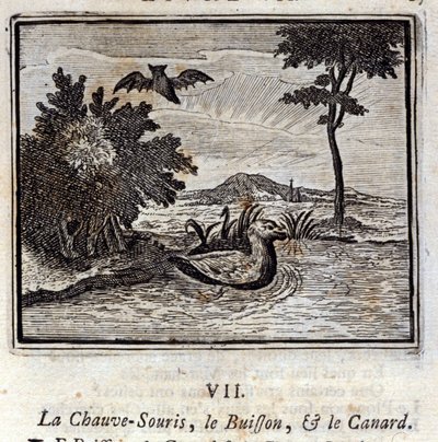 Fladdermusen, busken och ankan. Fabler av Jean de La Fontaine (1621-95). Illustration av François Chauveau (1613-1676). Upplaga av 1728. av Francois Chauveau