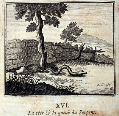 Ormens huvud och svans. Fabler av Jean de La Fontaine (1621-95). Illustration av François Chauveau (1613-1676). Upplaga från 1728. av Francois Chauveau