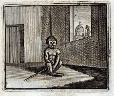 Apan. Fabler av Jean de La Fontaine (1621-95). Illustration av François Chauveau (1613-1676). Upplaga av 1728. av Francois Chauveau
