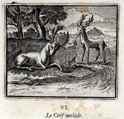 De sjuka rådjuren. Fabler av Jean de La Fontaine (1621-95). Illustration av François Chauveau (1613-1676). Upplaga av 1728. av Francois Chauveau