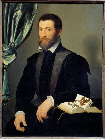 Porträtt av apotekaren Pierre Quthe (1519-après 1588) Målning av Francois Clouet (1515-1572) 1562 Sön. 0,91x0,7 m - Porträtt av apotekaren Pierre Quthe (1519- ca1588). Målning av Francois Clouet (1515-1572) av François Clouet