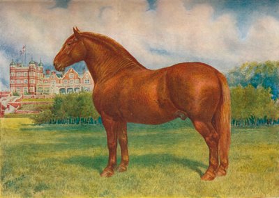 Suffolk far Prince Wedgwood, c1902 c1910 av Frank Babbage