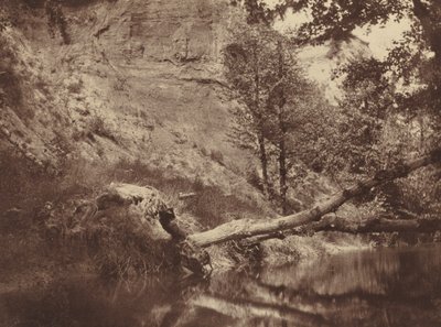 Riverbank, ca. 1855. av Frank Chauvassaigne
