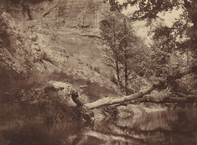 Riverbank,ca. 1855 (foto) av Frank Chauvassaigne