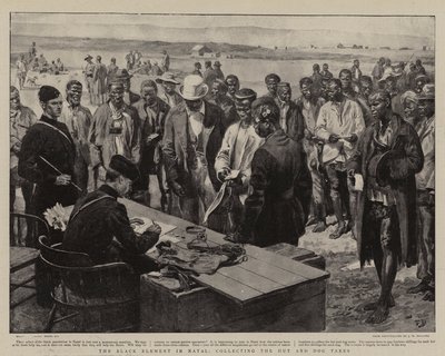 Det svarta elementet i Natal, samlar in hydda och hundskatter av Frank Dadd