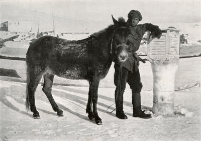 Gran med Mule Lal Khan, c1911, 1913 av Frank Debenham