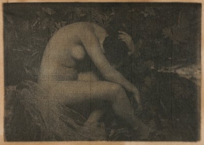 Cikadan av Frank Eugene