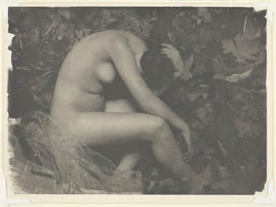 Cikadan, 1898. av Frank Eugene