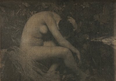Cikadan, 1898. av Frank Eugene