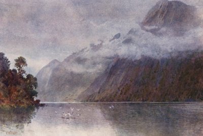 Nya Zeeland: I Milford Sound (färglitografi) av Frank H Wright