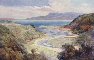 Nya Zeeland: Sjön och berget Tarawera (färglitografi) av Frank H Wright