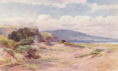 Nya Zeeland: På stranden vid Ngunguru (färglitografi) av Frank H Wright