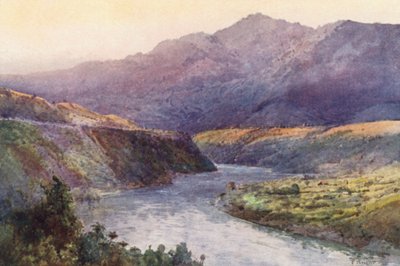 Nya Zeeland: På Upper Wanganui (färglitografi) av Frank H Wright