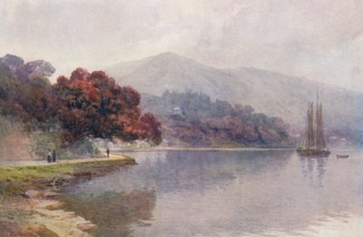 Nya Zeeland: Pohutukawa i blom, Whangaroa Harbour (färglitografi) av Frank H Wright