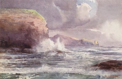 Nya Zeeland: Te-Wenga (färglitografi) av Frank H Wright