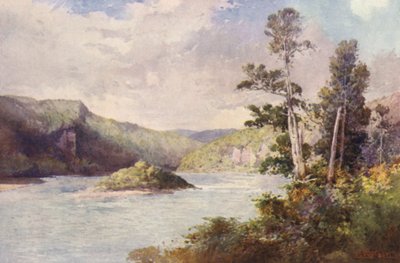Nya Zeeland: White Cliffs, Buller River (färglitografi) av Frank H Wright