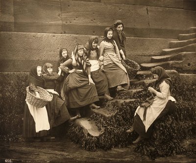 Kvinnor som väntar på dagarnas fångst, Whitby Harbour, North Yorkshire, ca 1899 av Frank Meadow Sutcliffe