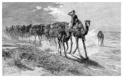 Kameler som bär ull, 1886. av Frank P. Mahony