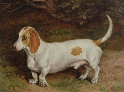 Min favorittax, 1885 av Frank Paton