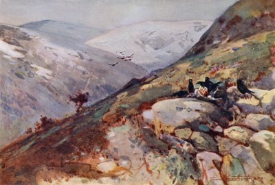 Nära Kielder (färg litho) av Frank Southgate