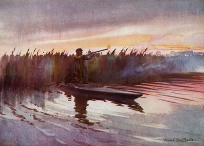 Norfolk Broads: Flight-Shooting (färg litho) av Frank Southgate