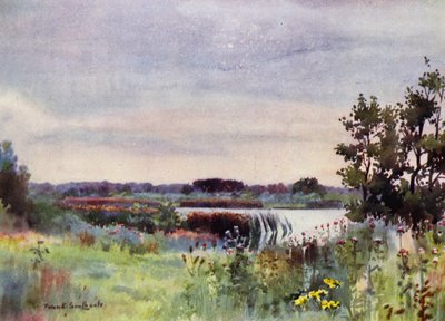 Norfolk Broads: Salhouse Great Broad (färg litho) av Frank Southgate