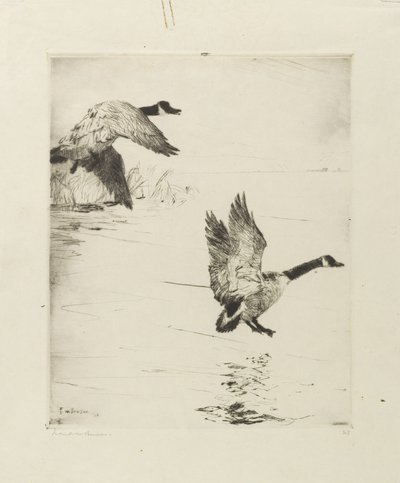 Gäss avstigning av Frank Weston Benson