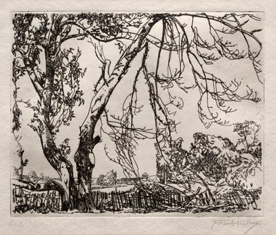 Äppelträd av Frank Wilcox