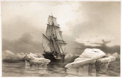 Corvette "La Recherche" nära Bear Island den 7 augusti av François Auguste Biard