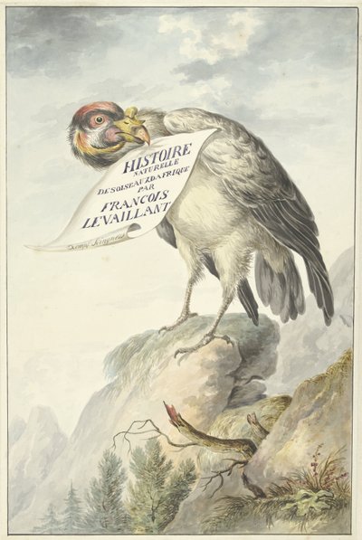 Stor gam med ett pappersark i näbben HISTOIRE NATURELLE DES OISEAUX DAFRIQUE (titel på objekt) av François Levaillant (circle of)
