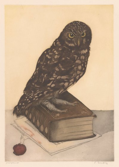 Uggla sitter på en bok av Frans Everbag (signed by artist)
