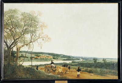 Oxkärran, det brasilianska landskapet ... av Frans Jansz Post